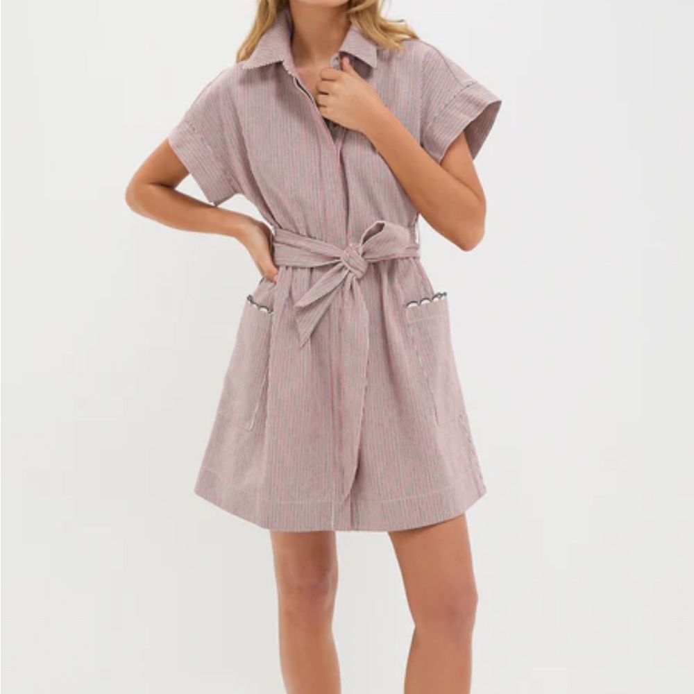 Tuckernuck Pink Striped Mini Dress